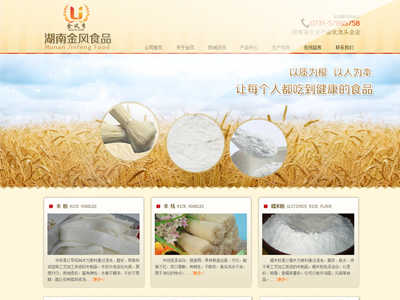 湖南金風(fēng)食品有限責任公司